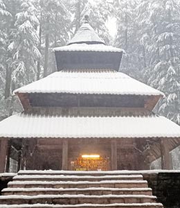 hadimba temple manali, manali local sightseeing